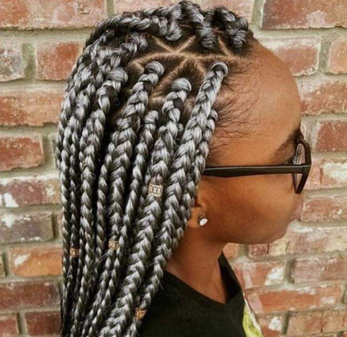 Les mèches argentées contrastent avec les cheveux noirs afrikanskie-kosichki-foto_ (9)