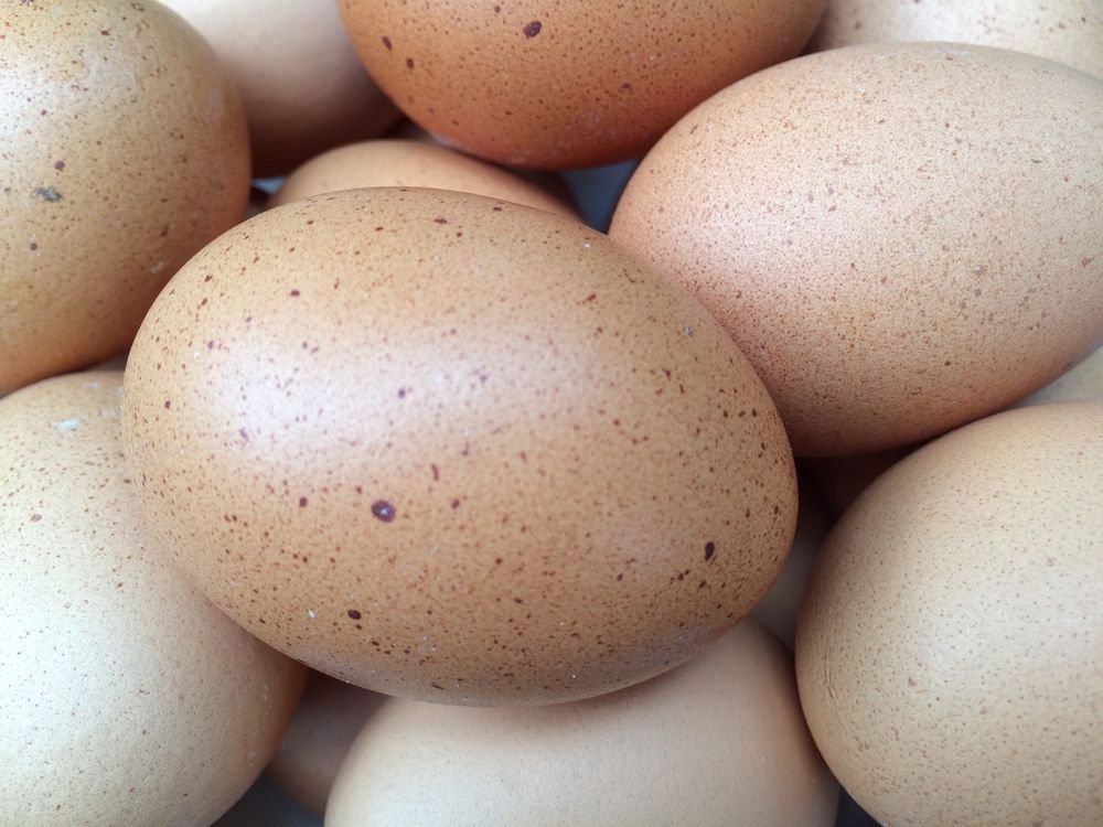 zhelatinovaya-maska-dlya-volos_17