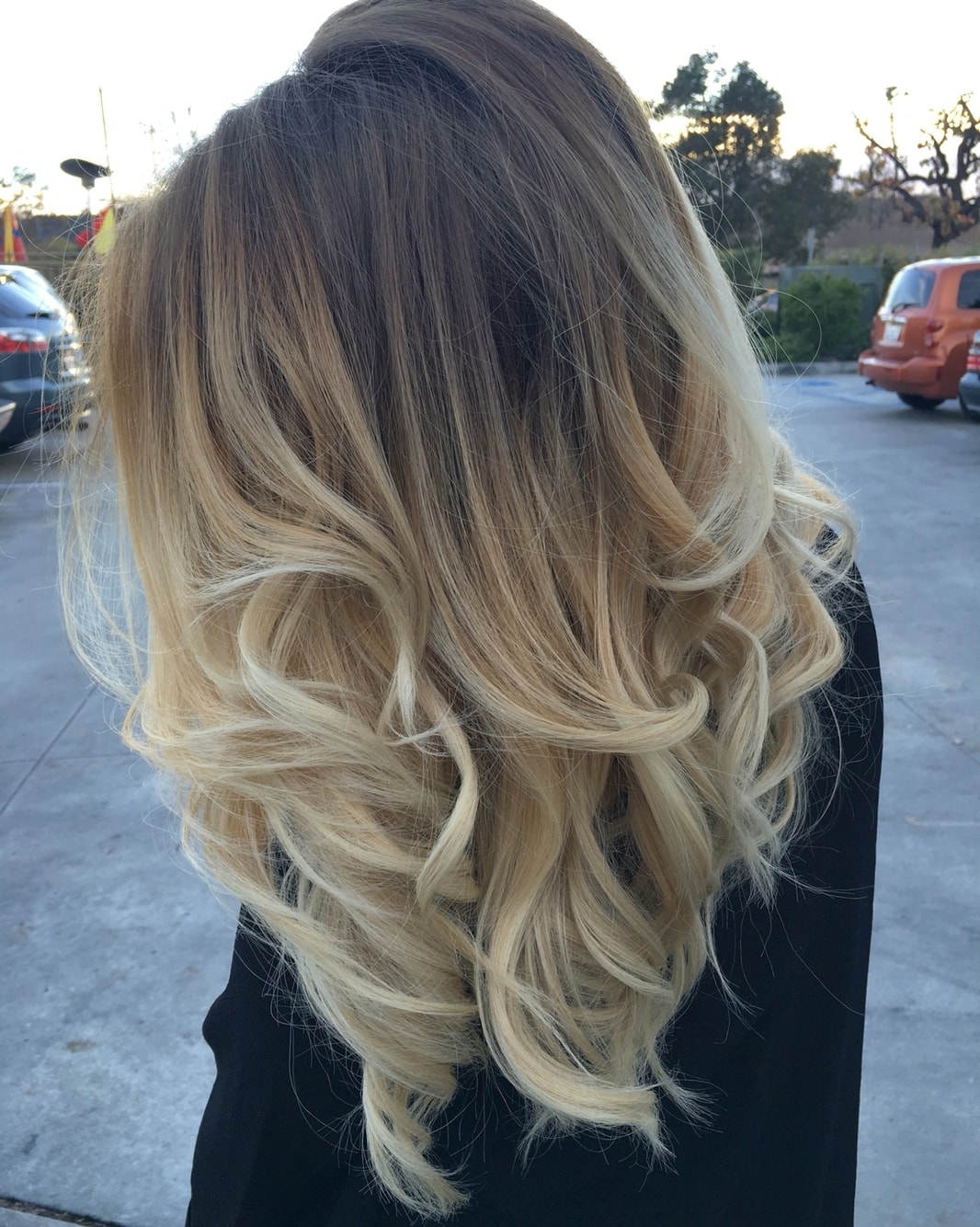 ombre-na-chernyh-volosah_ (28)